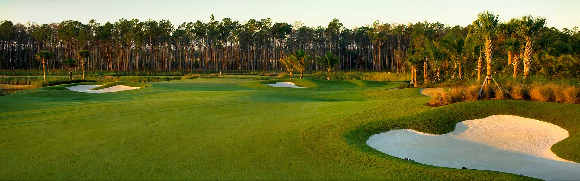Plantation